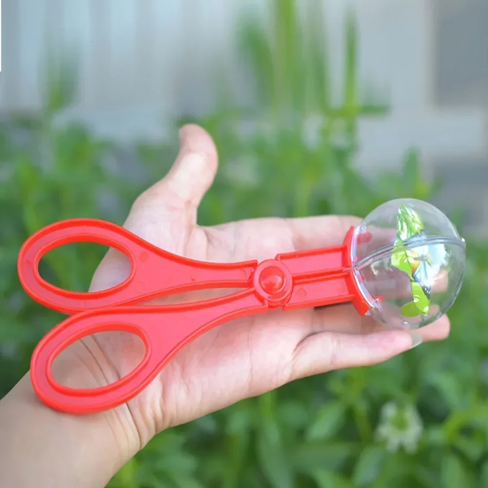 Bunte Große Perlen-Insektenfan – Outdoor Adventure For Kids Bewertung und Preis