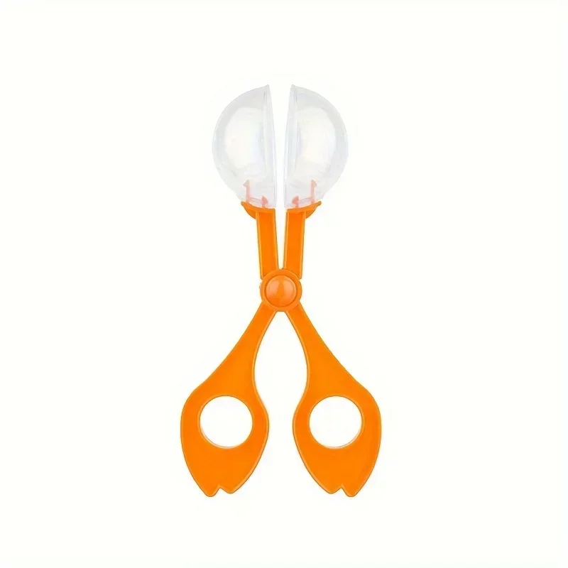 Bunte Große Perlen-Insektenfan – Outdoor Adventure For Kids Bewertung und Preis